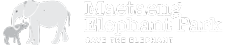Maetaeng Elephant Park & Clinic | Chiang Mai, Thailand